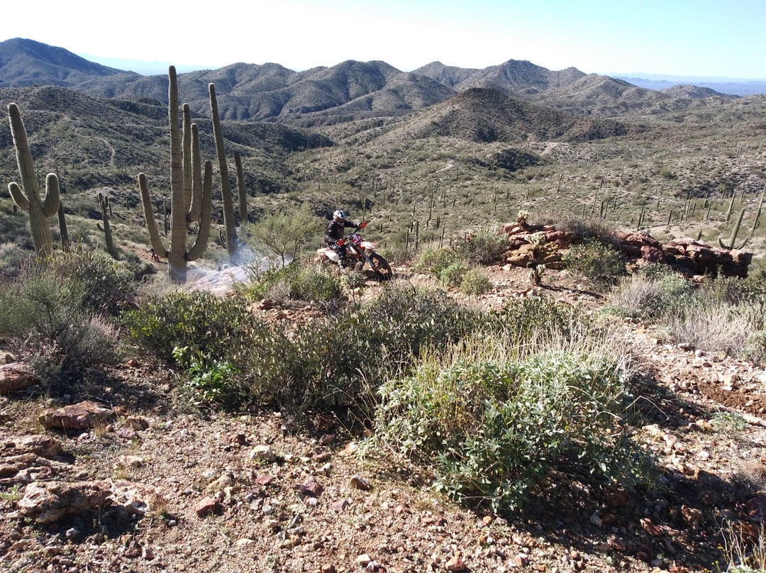 Arizona Dirt Bike Rentals-Wickenburg必去景点