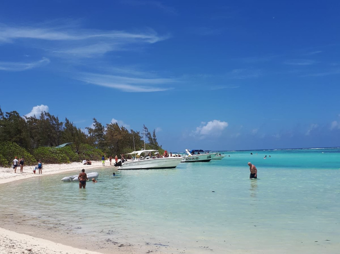 Dreamcatcher Catamaran Tours-开普马欧呵必去景点