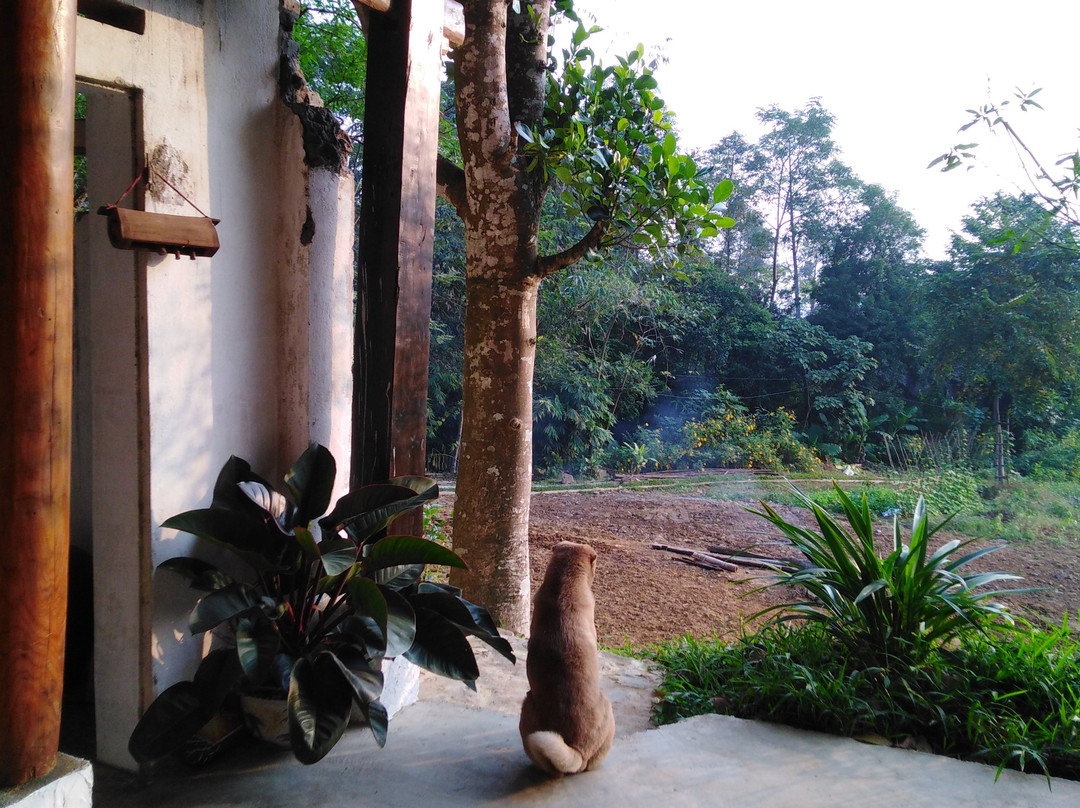 Cua Tu Waterfall-Thai Nguyen必去景点