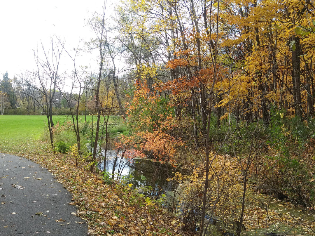 Maple Creek Park-Plymouth必去景点