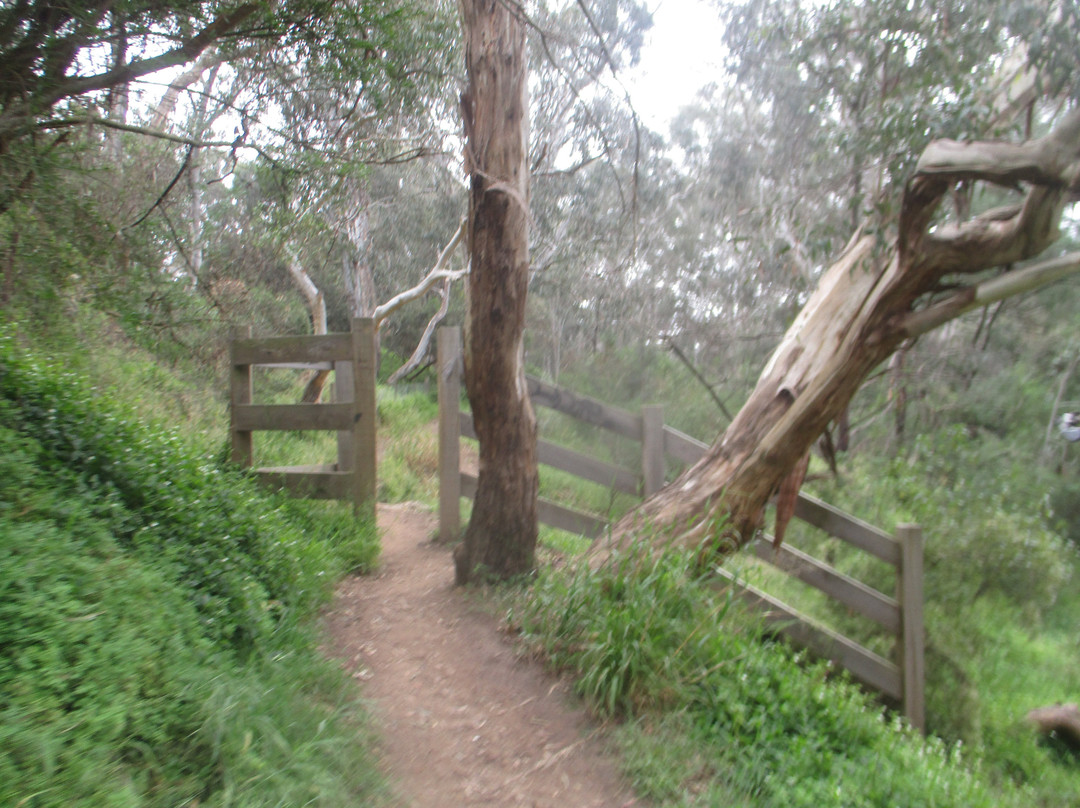 Yarra Bend Park-费尔菲尔德必去景点