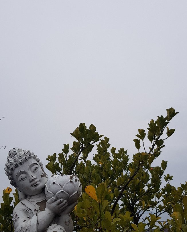 Ganwolam Temple-瑞山市必去景点