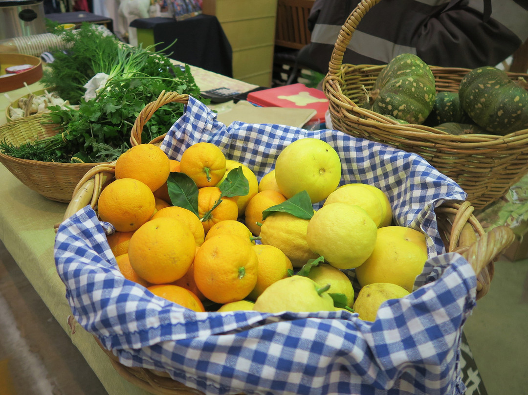 Warrnambool Undercover Sunday Market-瓦南布尔必去景点