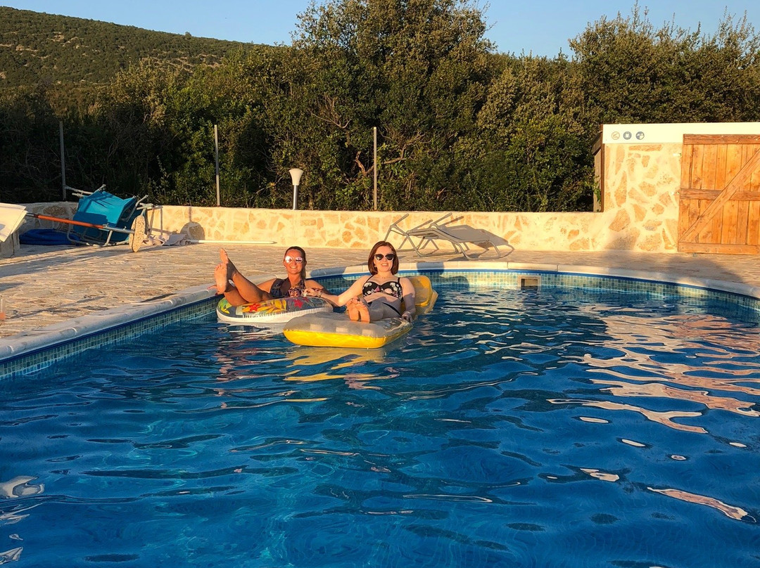 Holiday Park Olive Tree主图