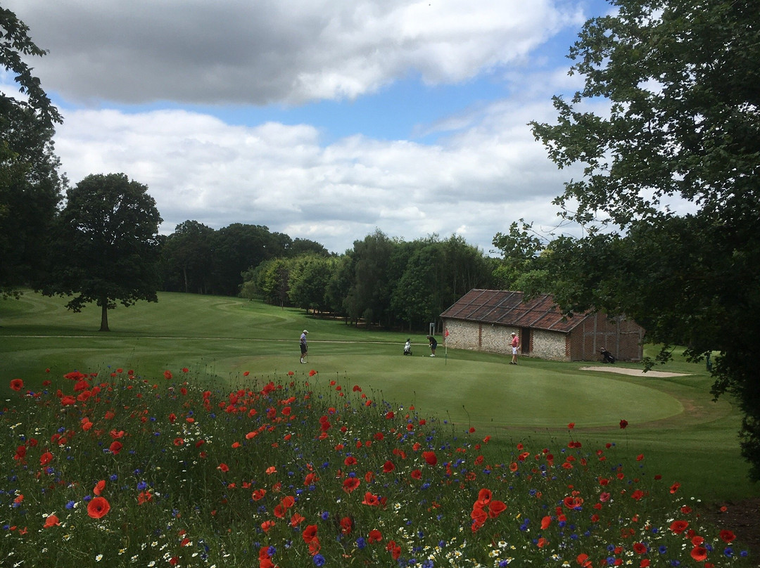 Alresford Golf Club景点图片