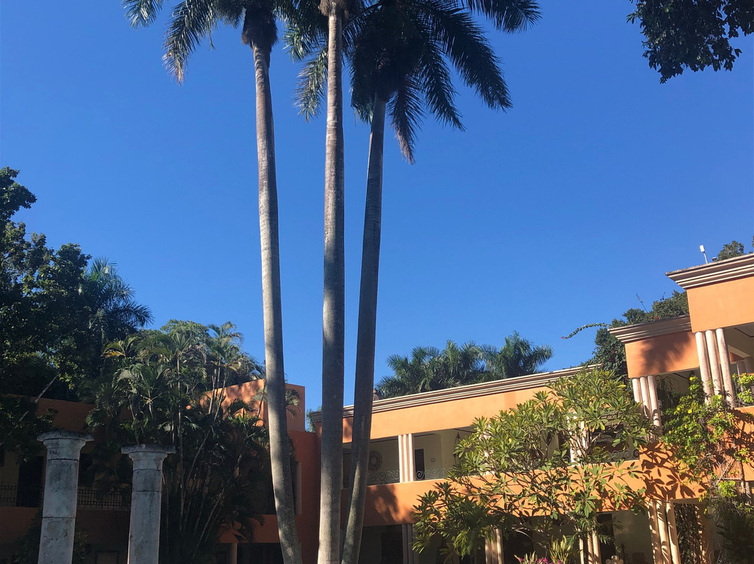 La Casa del Mago主图