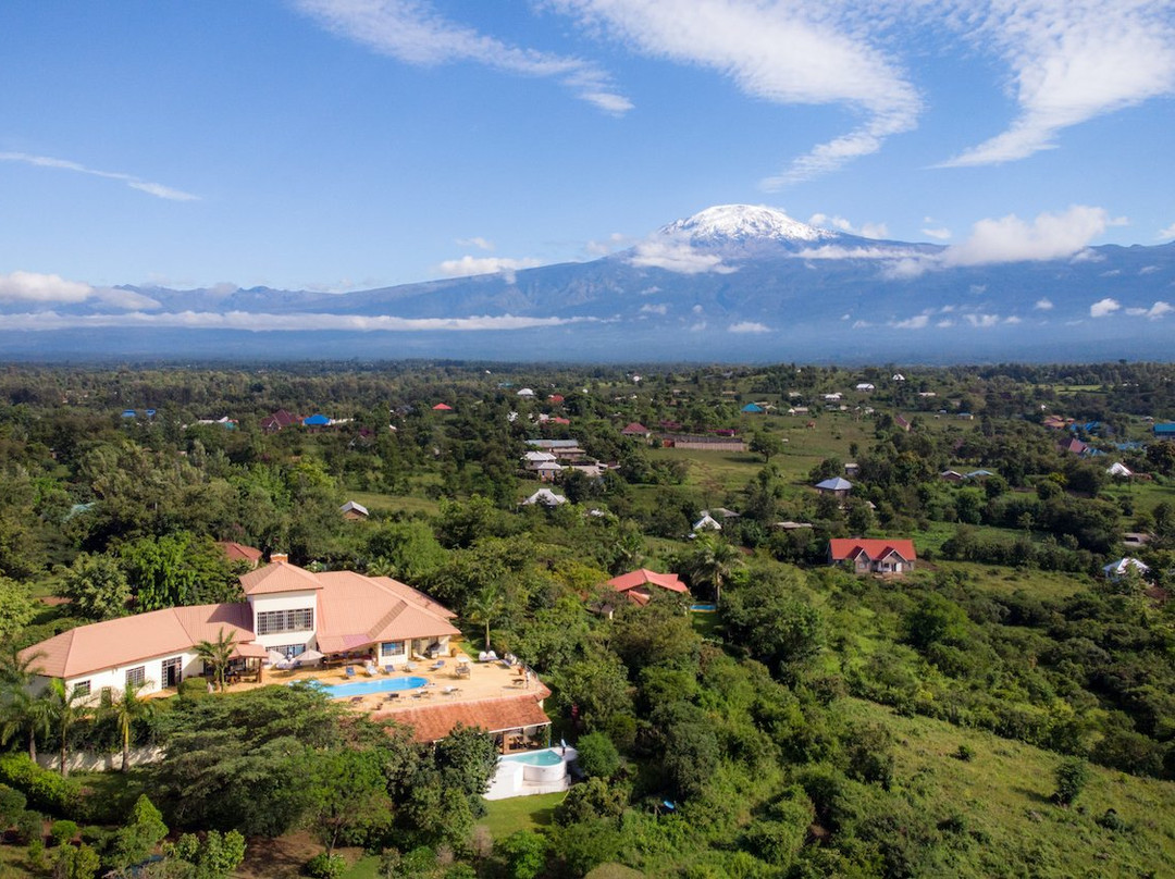 Pink Flamingo Boutique Hotel主图