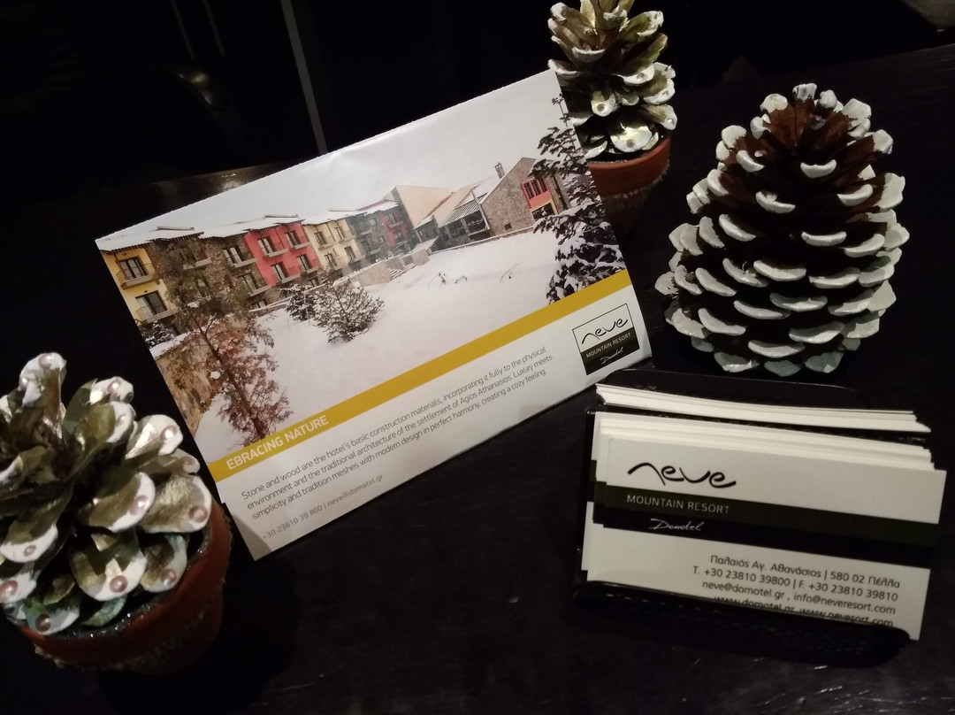 Domotel Neve Mountain Resort & Spa主图
