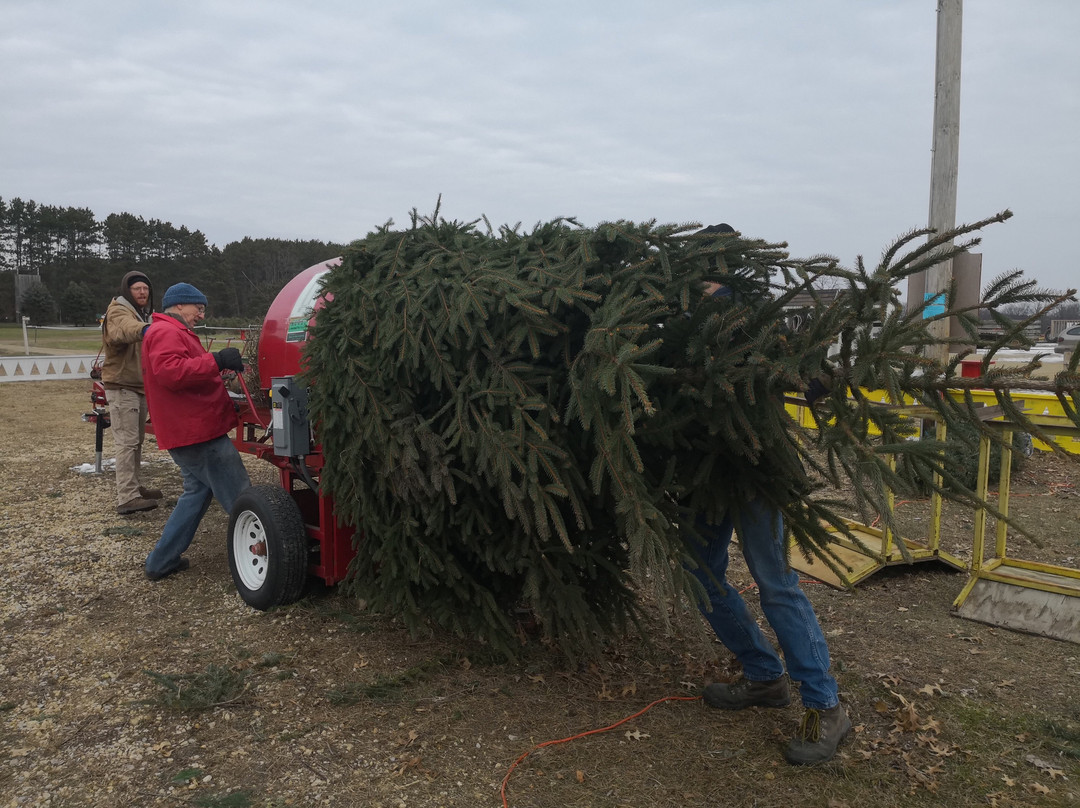 Williams Tree Farm-Rockton必去景点