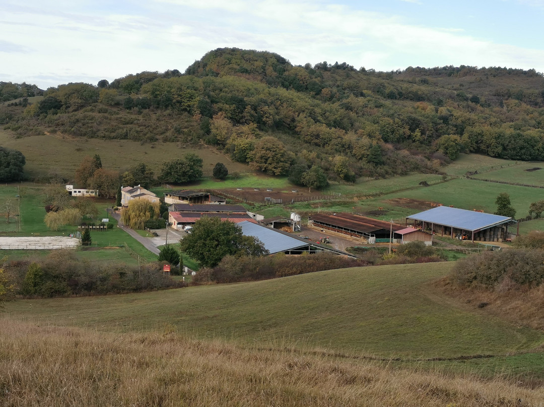 Gites et Roulottes au Domaine de la Trille主图