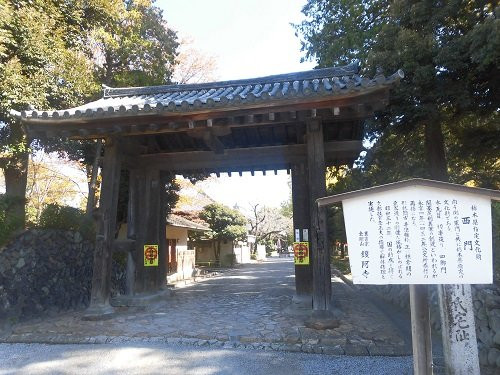 Banna-ji Temple East Gate & West Gate景点图片