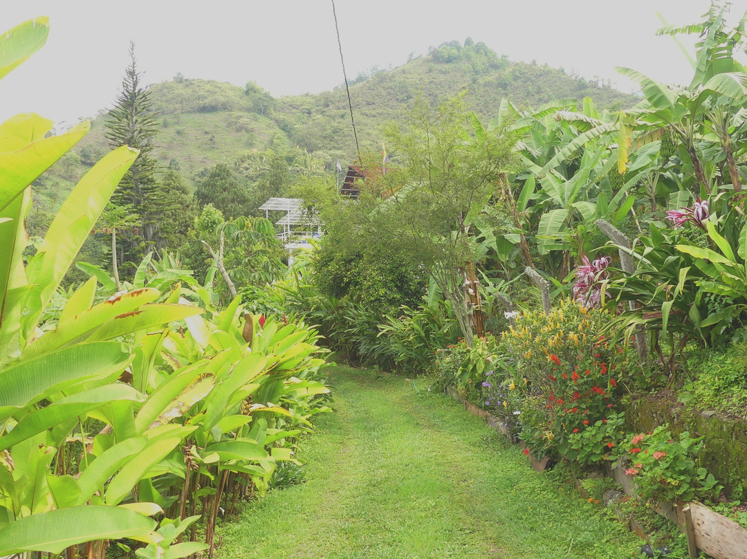 Glamping At Villa Migelita Ecolodge主图