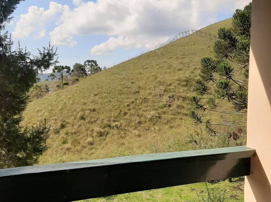 Plaza Inn Week Inn主图