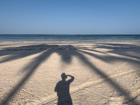 Surfescape Beachfront Apartments主图