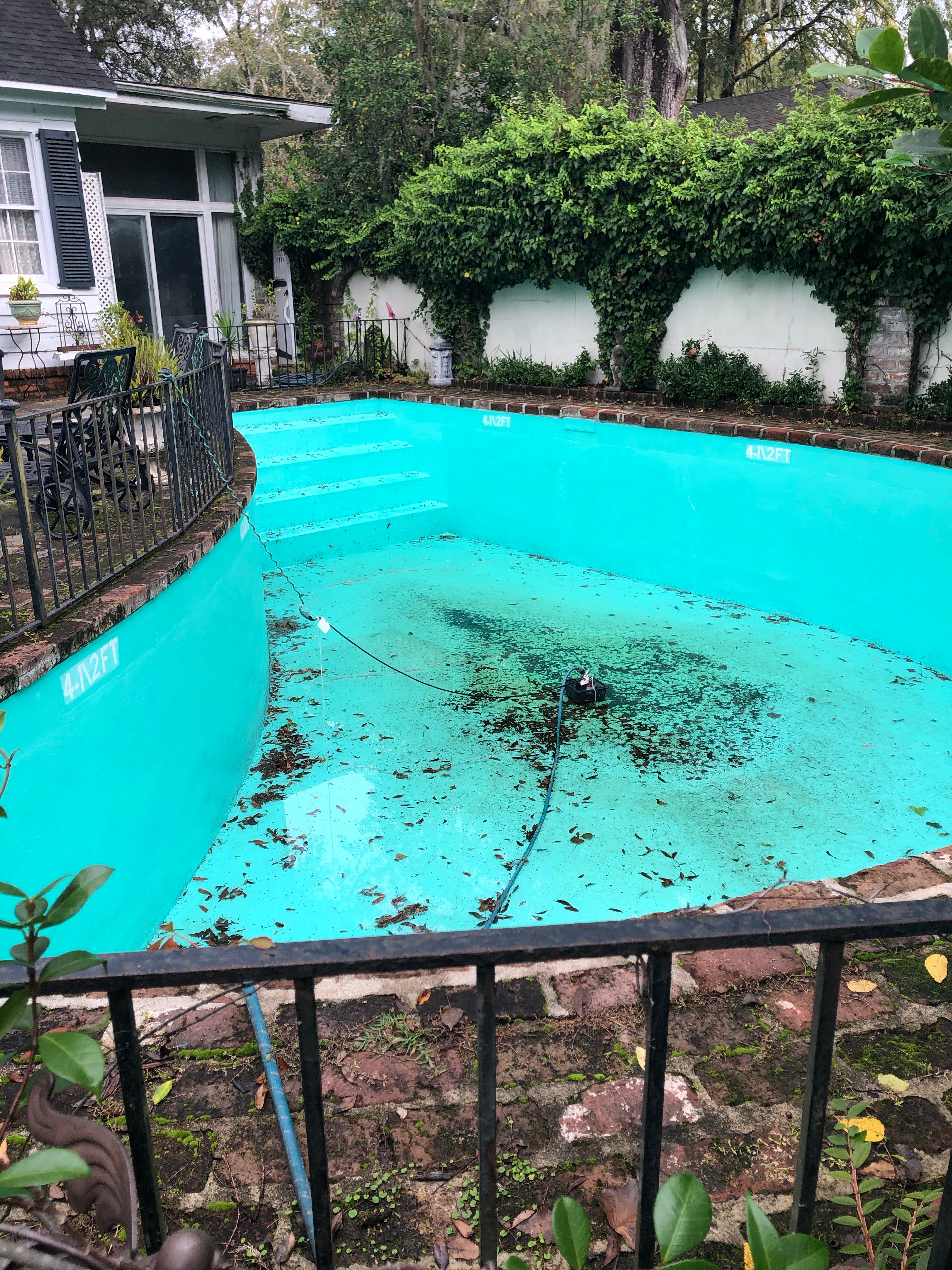 The Hampton House-泳池