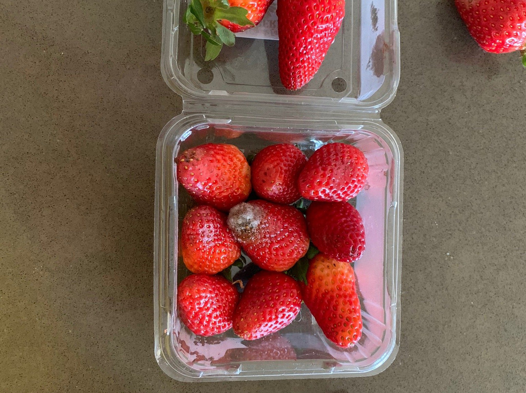 Camden Fruit Barn-Elderslie必去景点