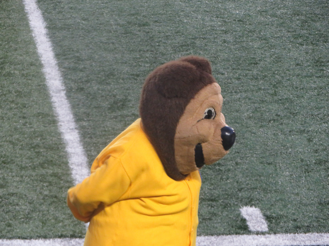 California Memorial Stadium-伯克利必去景点