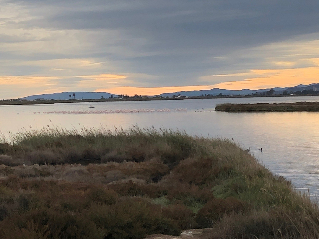 Parc Natural del Delta de l'Ebre-加泰罗尼亚必去景点