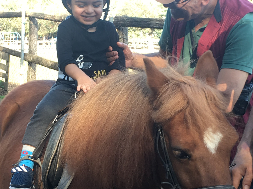 Göçmen's Ranch-伊斯坦布尔必去景点