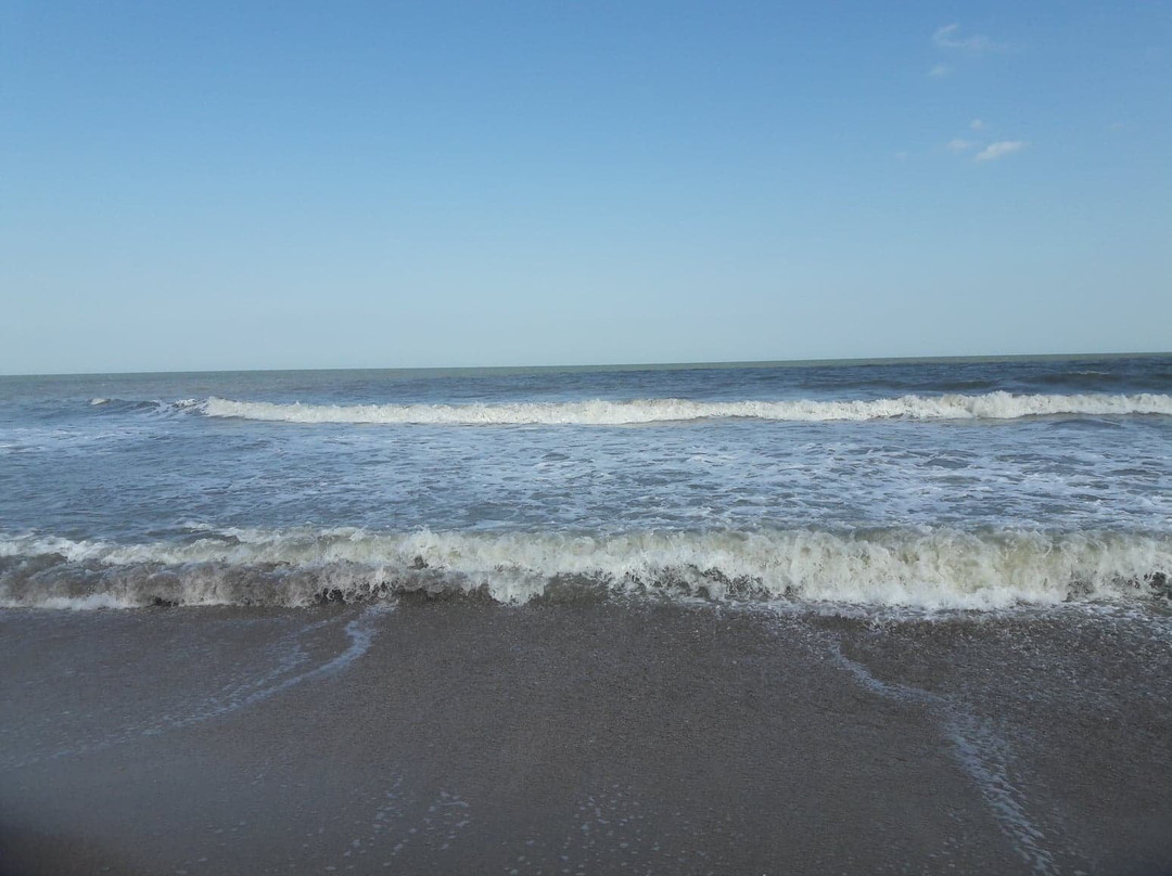 Main Beach Park-费尔南迪纳岛必去景点