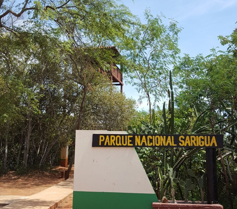 Sarigua National Park景点图片