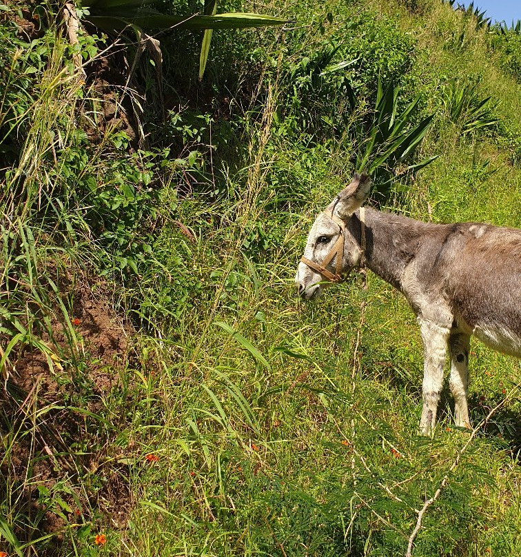 SabAdi aventura-Tarrafal必去景点