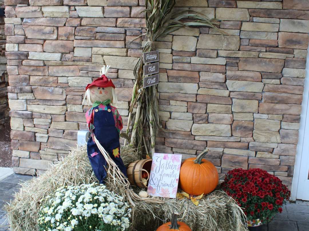 Fairfield by Marriott Inn & Suites Plymouth White Mountains主图