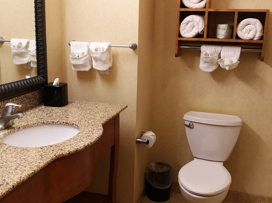 Hampton Inn & Suites Buffalo主图