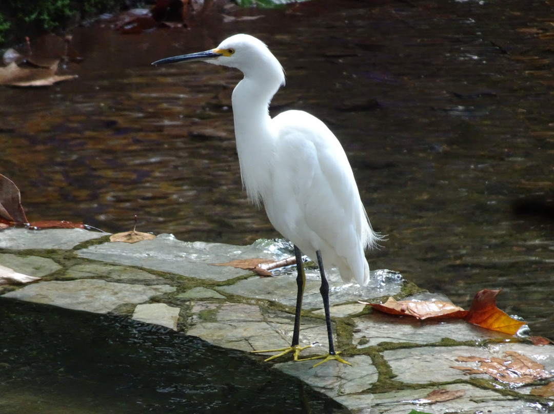 Parque de los Tecajetes景点图片