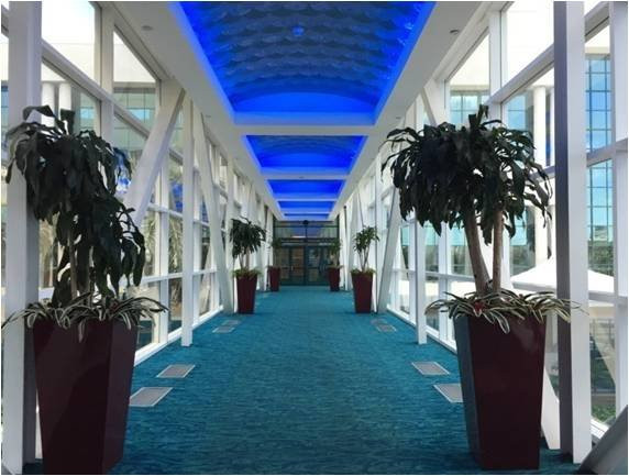 Greater Fort Lauderdale & Broward County Convention Center-劳德代尔堡必去景点