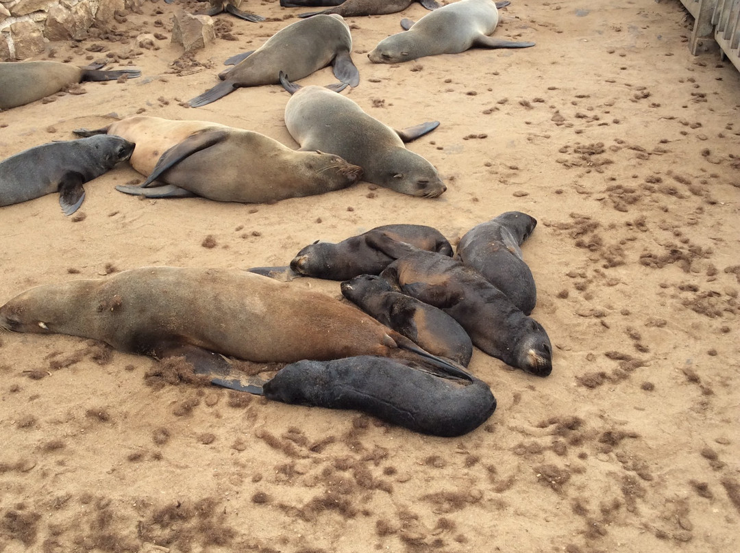 Mannor Safaris Namibia-温德和克必去景点