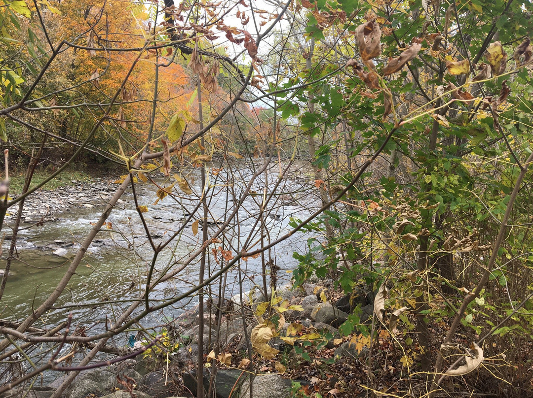 Etobicoke Valley Park-多伦多必去景点