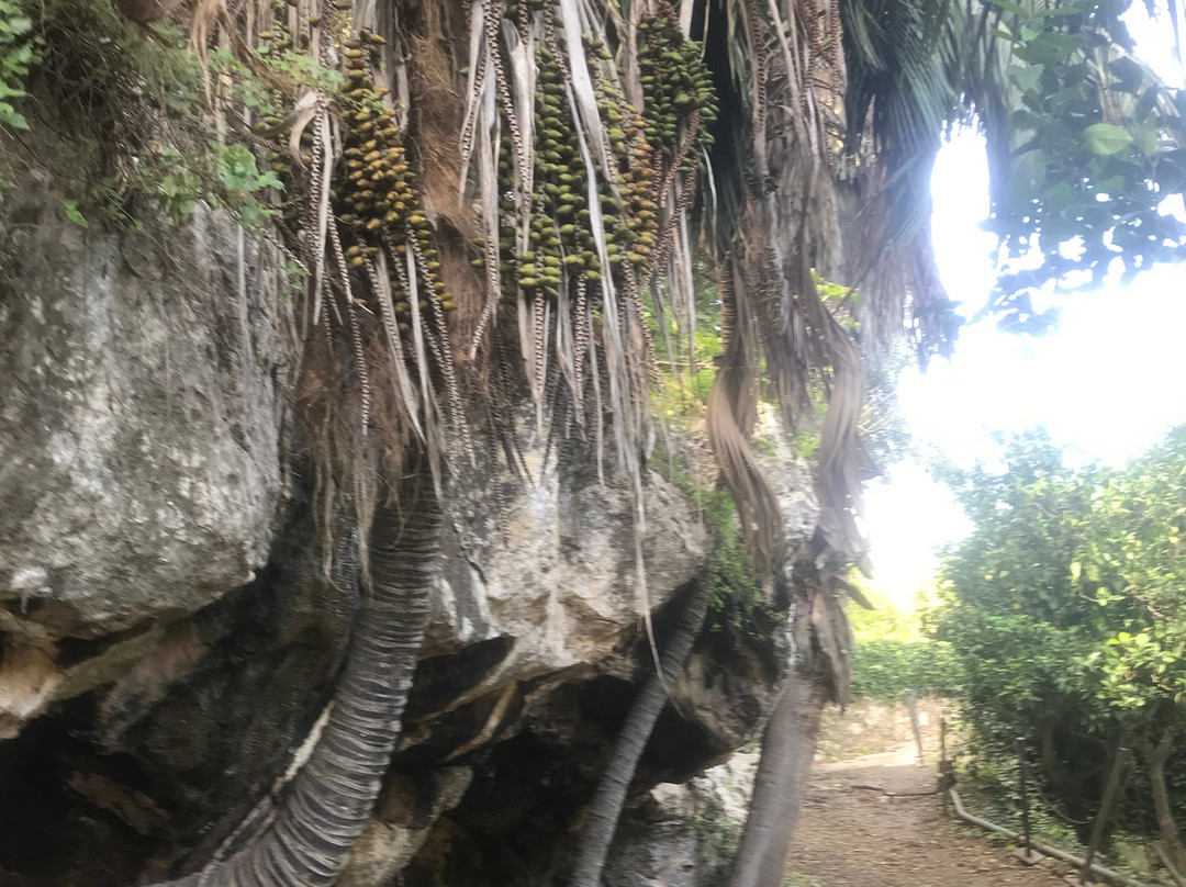 Villa Reimann-锡拉库扎必去景点