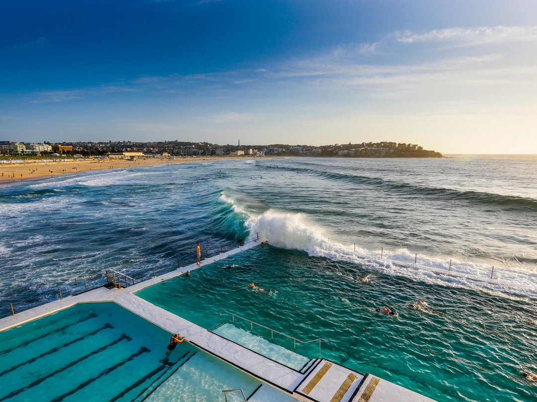 Coogee to Bondi Walking Tours景点图片