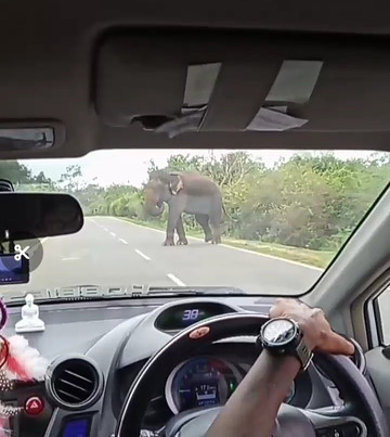 Island Journey Tours-科伦坡必去景点