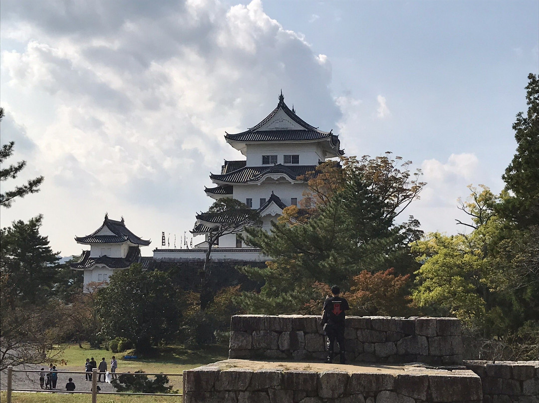 Iga Ueno Castle景点图片