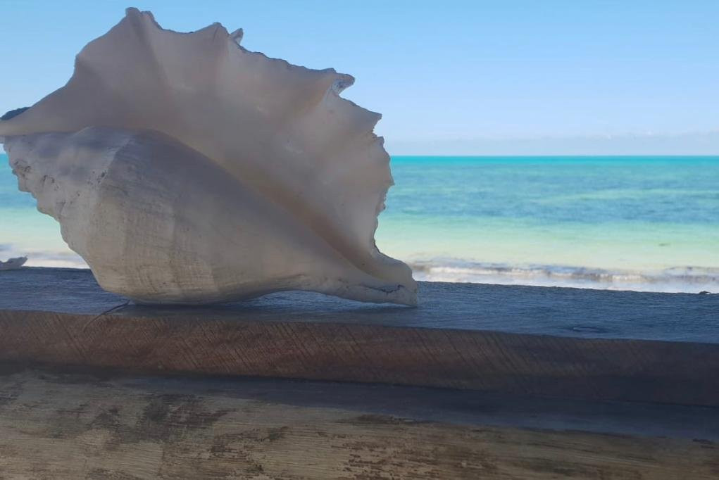 Uwesu Zanzibar Tours景点图片