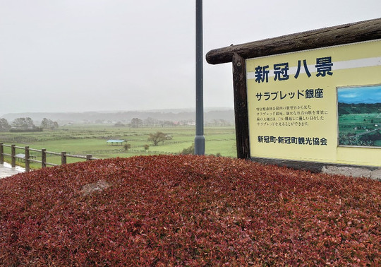 Thoroughbred Gina Parking Park-新冠町必去景点