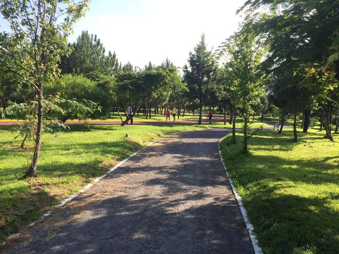 Parque Metropolitano de Guadalajara景点图片