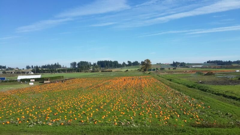 Topaz Farm-波特兰必去景点