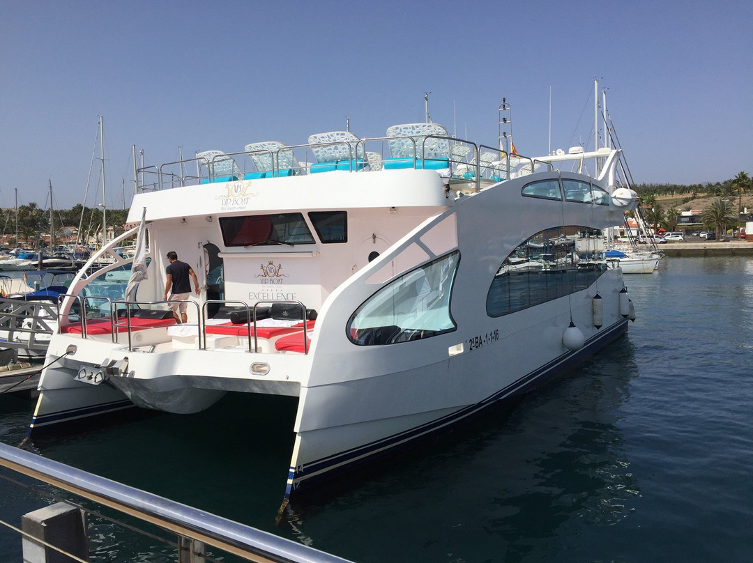 Vip Boat Excellence-Pasito Blanco必去景点