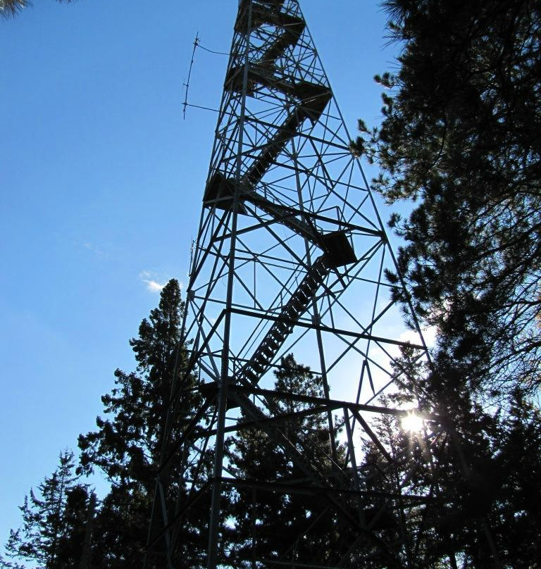Pequot Lakes旅游景点-Paul M Thiede Fire Tower Park