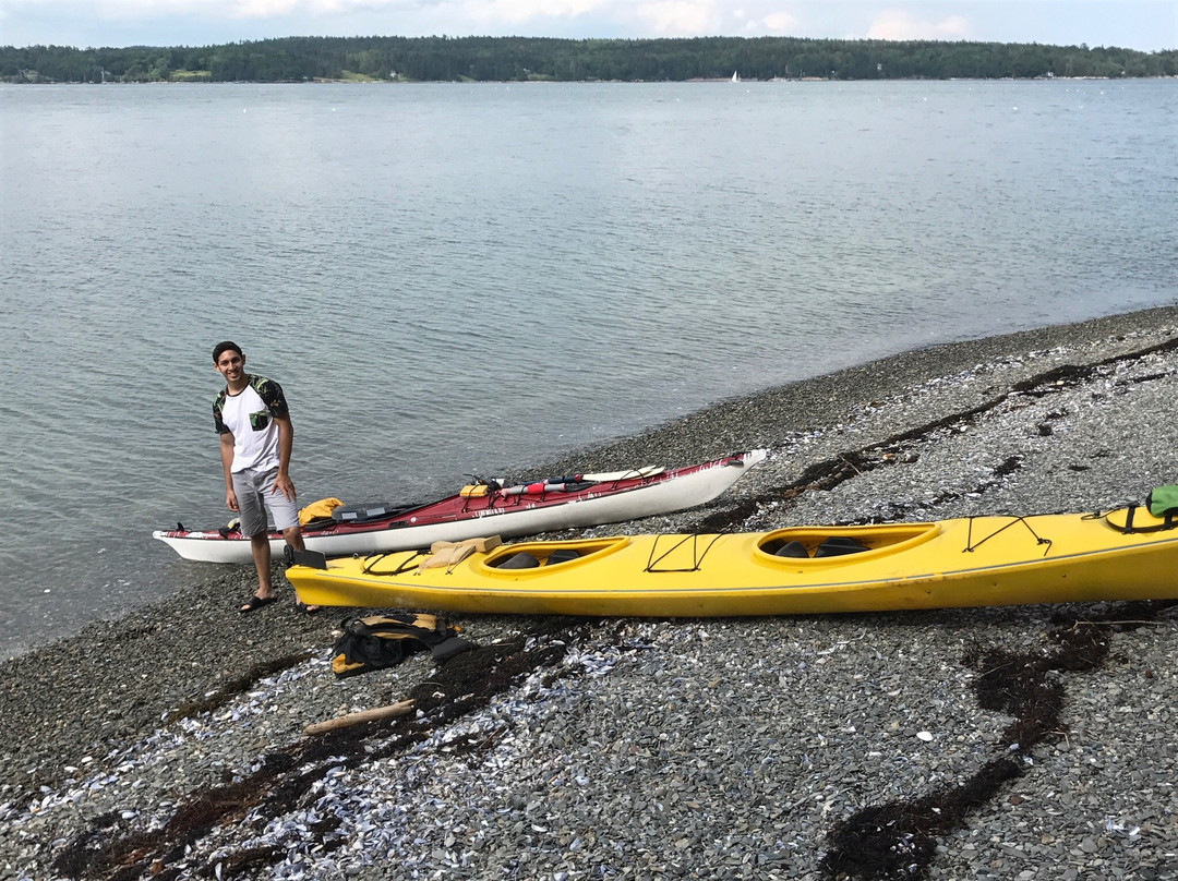 Hancock Point Kayak Tours景点图片