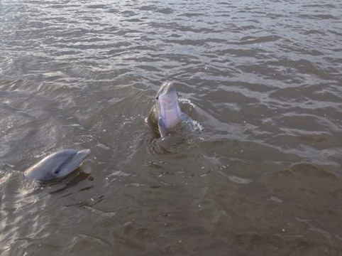 Crab Creek Charters - Private Boat Tours-泰碧岛必去景点