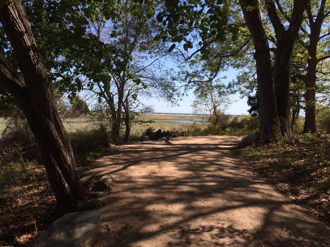 The Shoreline Greenway Trail