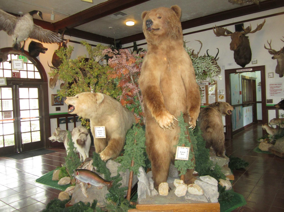 La Habra Children's Museum-拉哈布拉必去景点