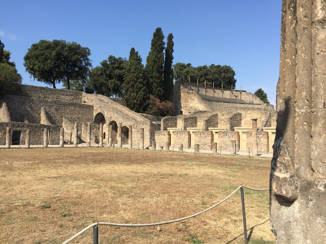 Tours of Pompeii with Lello & Co.景点图片