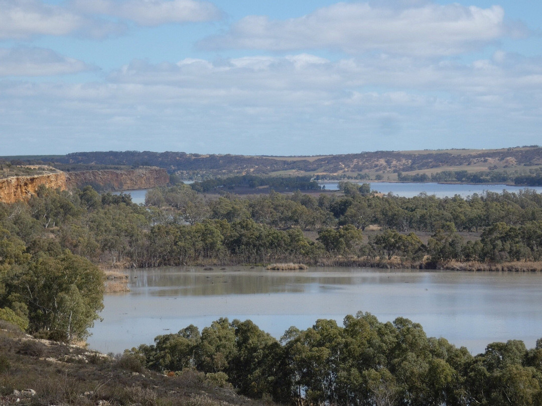 Len Kroehn Lookout-Walker Flat必去景点