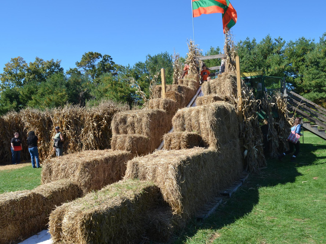 Freddy Hill Farms and Family Fun Center景点图片