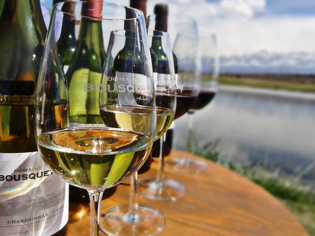 Domaine Bousquet景点图片